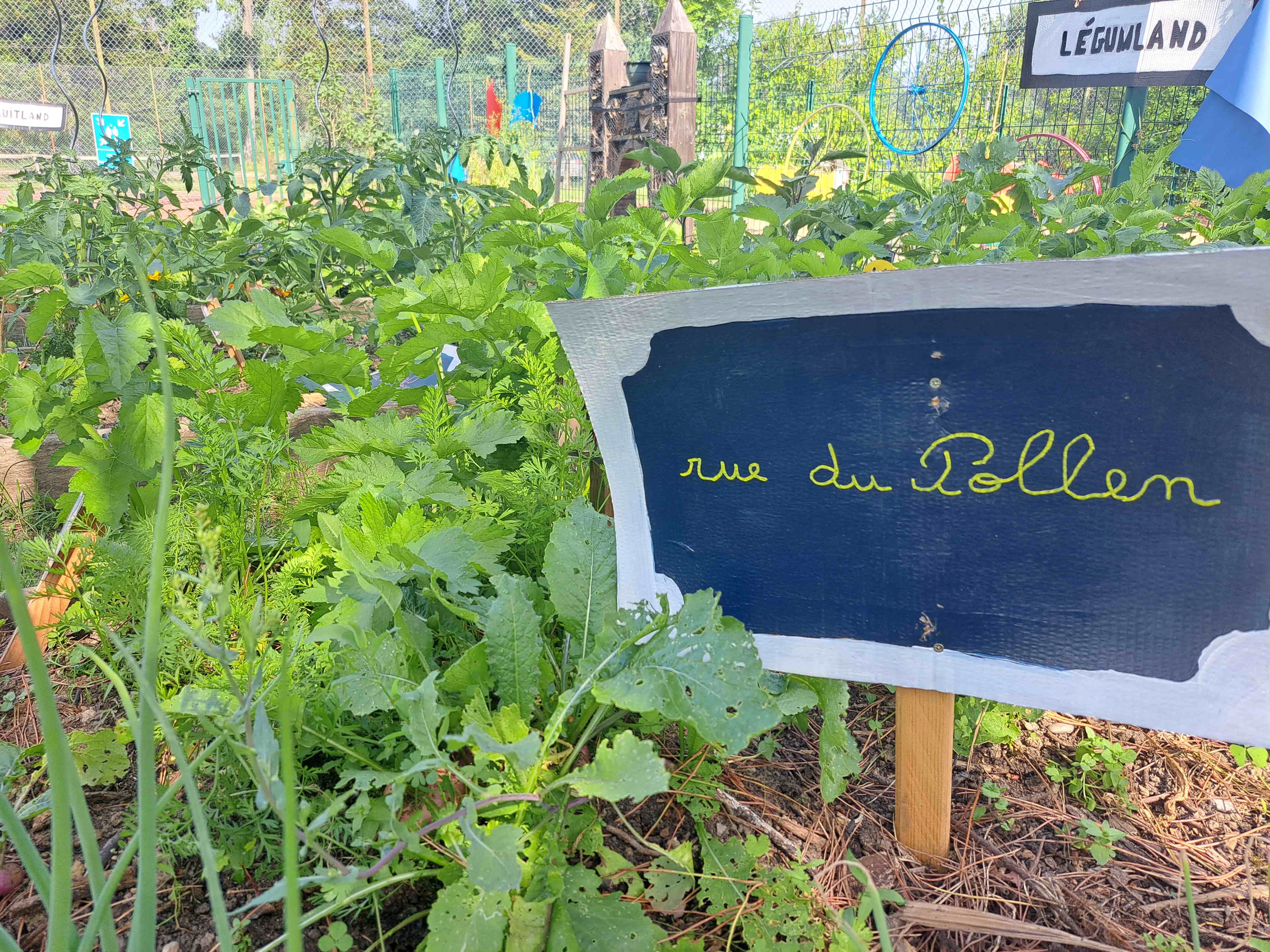 Écoles fleuries et jardinage 25-26