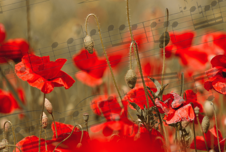Chantez Coquelicots 2025-2026