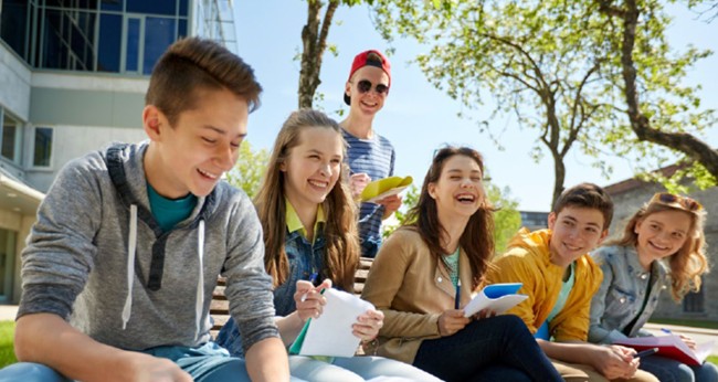 Coopérative scolaire - FSE - MDL/ALESA