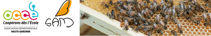 Musée de l’Abeille | Découvrez le monde exceptionnel de la ruche