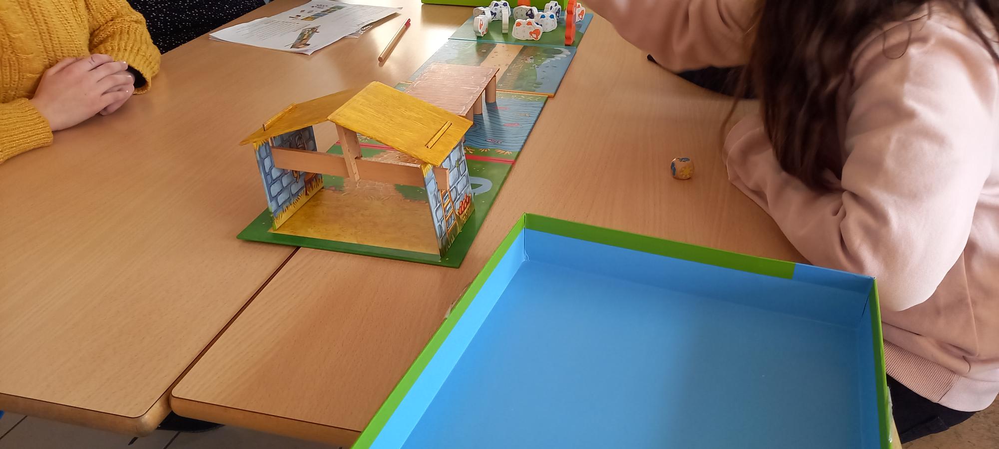 JEUX COOPERATIFS DE PLATEAU: action départementale