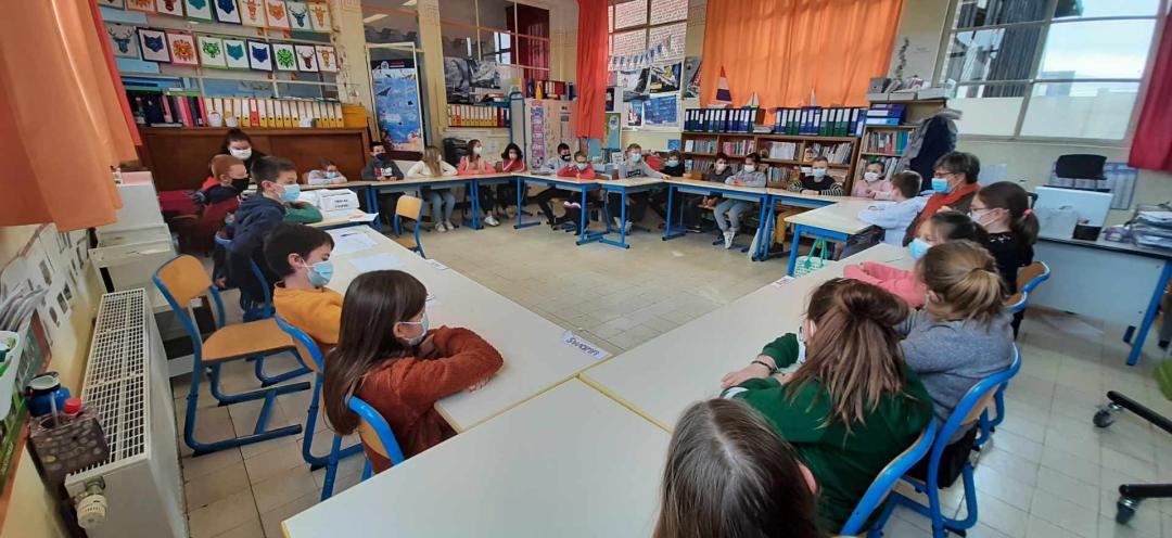 Mise en place d'un CONSEIL DE COOP: action départementale