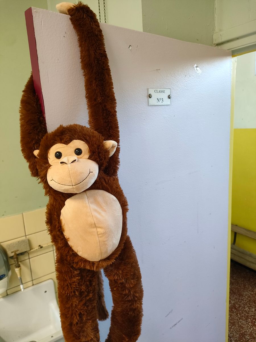 Coopsi, la peluche voyageuse - Action régionale