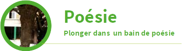 Coopés-poètes