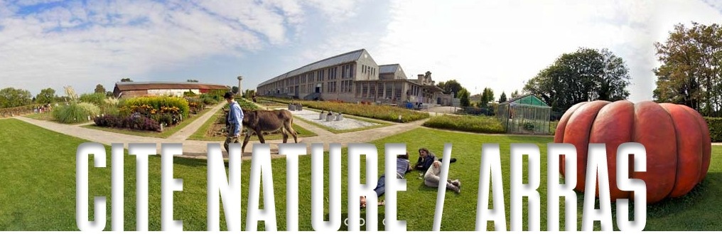 Ateliers Nature et développement durable