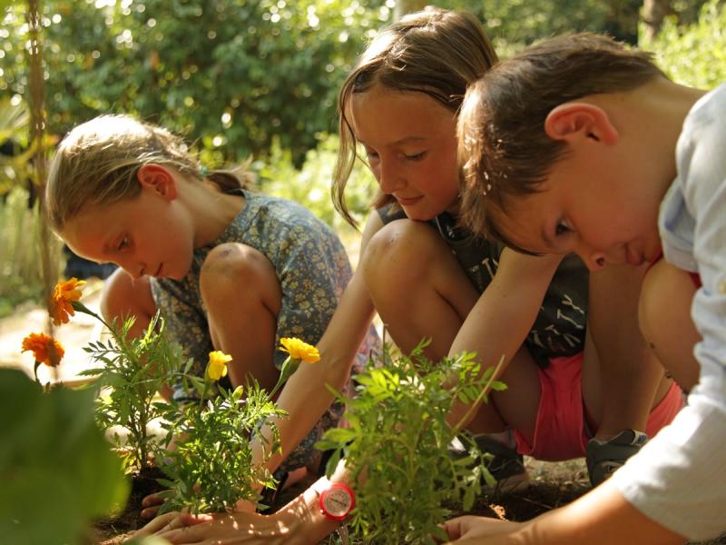 Le jardin des saveurs