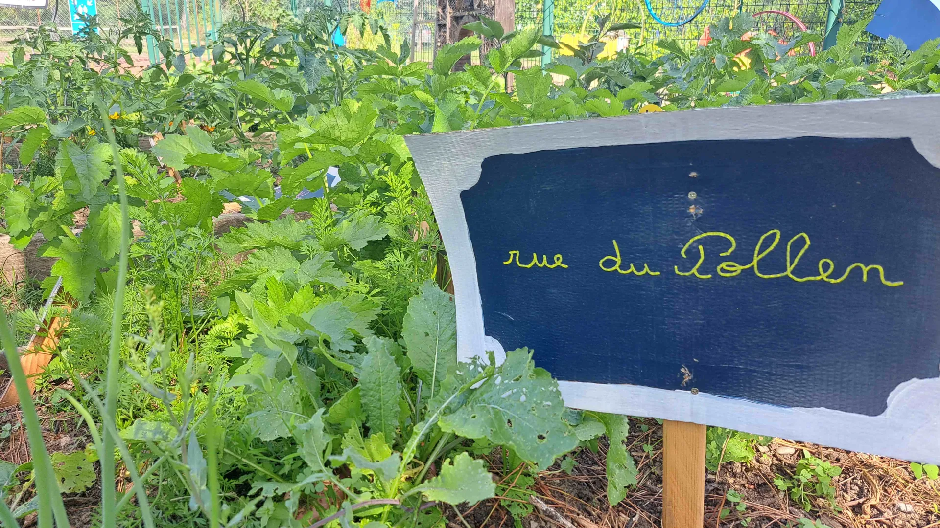 Écoles fleuries et jardinage 25-26