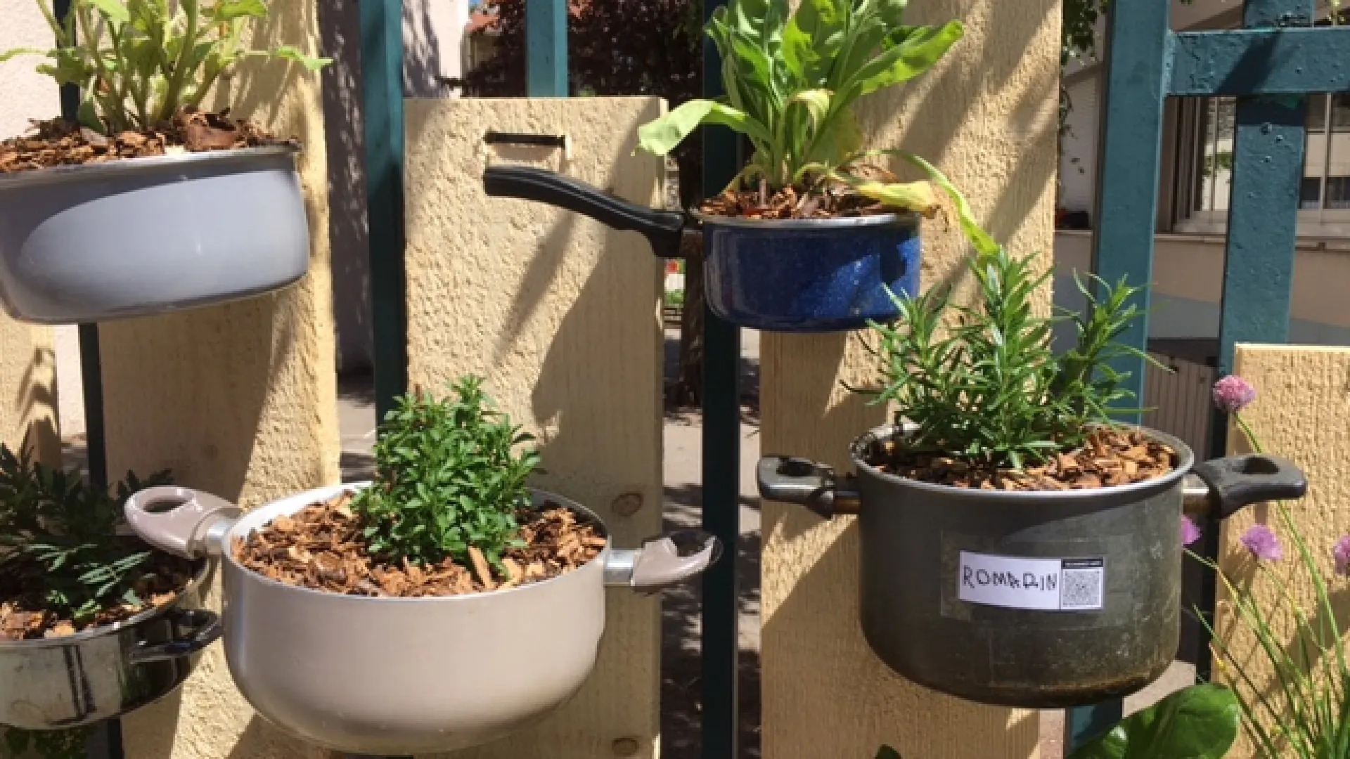 OCCE 42: Jardins d'écoles (Ecoles fleuries), EEDD