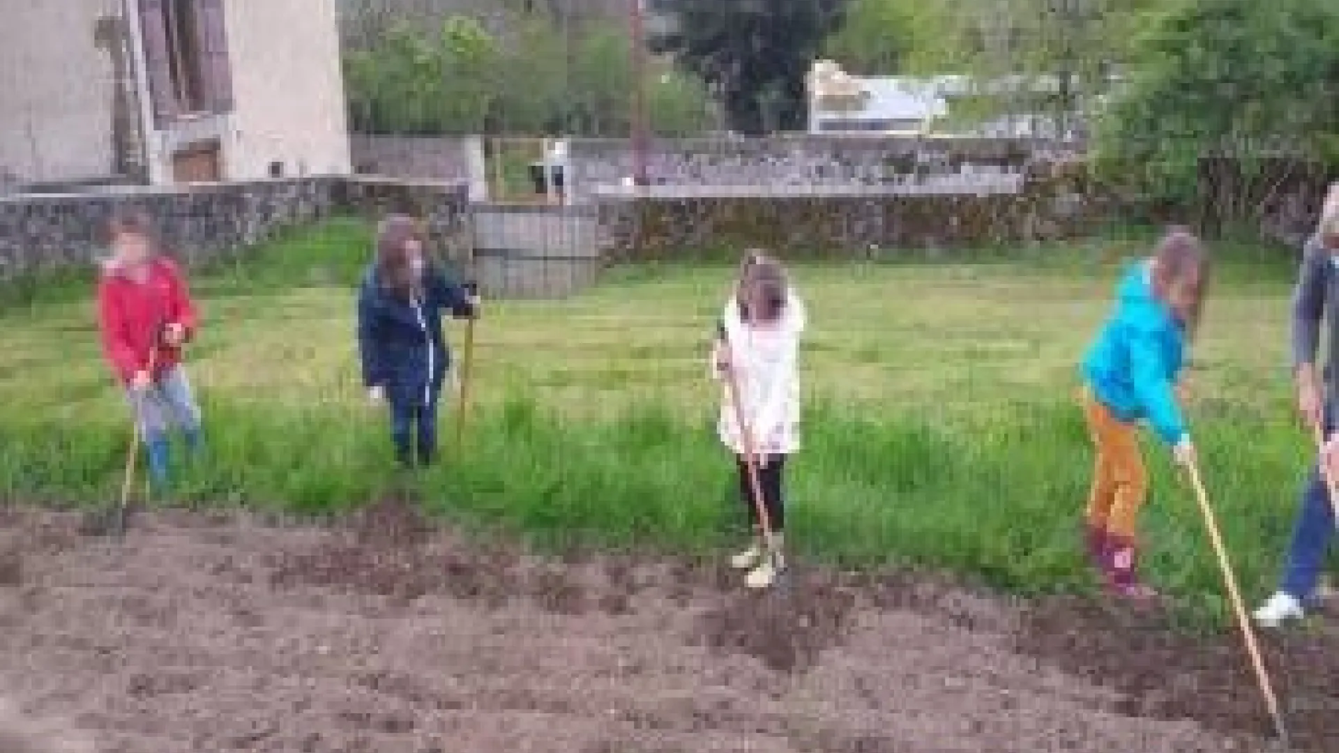 JARDINET.COOP