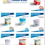 Planche pédagogique du kit ‘Consom’acteur – Une enquête coopérative’ de l’OCCE, présentant différents types de yaourts en pots individuels : industriels, artisanaux, maison, nature, aromatisés ou aux fruits. Chaque yaourt est illustré avec son packaging et classé selon des séances de travail (1, 2 ou 3), avec des informations de prix et de poids à des fins comparatives.