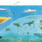 Illustration d’un littoral tropical montrant l’impact des activités humaines sur l’environnement marin. Sur la plage : une pelleteuse, des vacanciers, des tortues qui pondent. En mer : bateaux, baigneurs, plongeurs, filets de pêche. Sous l’eau : tortues vertes, poissons, oursins, requin et déchets plastiques. L’image illustre les menaces qui pèsent sur la tortue verte et son écosystème.