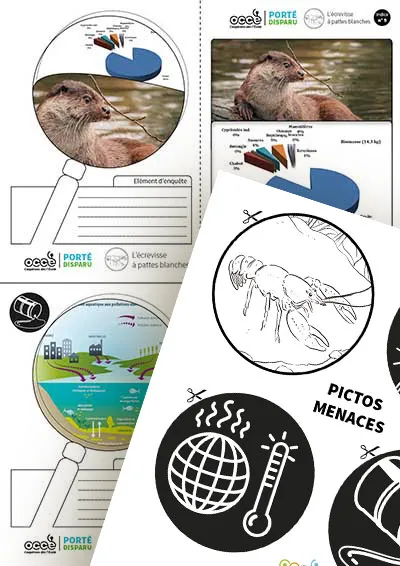 Extrait du dossier pédagogique ‘Porté disparu’ sur la biodiversité. L’image montre des fiches d’enquête illustrées par des dessins et graphiques (dont un ragondin et un paysage aquatique), ainsi qu’une planche de pictogrammes en noir et blanc représentant les menaces environnementales, comme le réchauffement climatique ou la pollution.