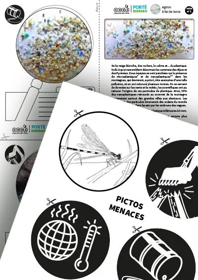 Extrait du kit pédagogique sur l’agrion à fer de lance. On y voit des fiches d’enquête sur la pollution des milieux aquatiques (dont une photo de microplastiques) et une planche de pictogrammes en noir et blanc représentant différentes menaces : réchauffement climatique, engins agricoles, pollution.