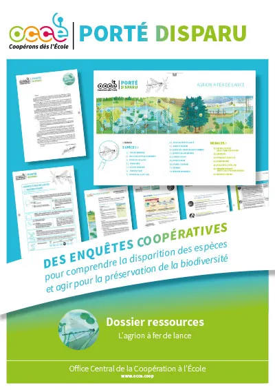 Affiche du dossier pédagogique ‘Porté Disparu – Agrion à fer de lance’ édité par l’OCCE. Elle présente une enquête coopérative autour de cette espèce menacée, avec un aperçu des ressources pédagogiques, une frise des menaces environnementales et un visuel du paysage étudié.