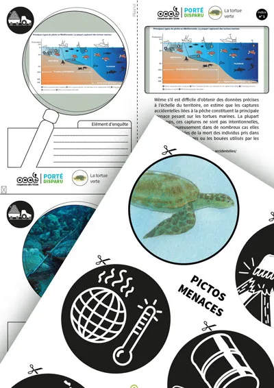 Extraits du dossier pédagogique sur la tortue verte. On y voit une fiche sur les zones de capture accidentelle (bycatch), une image de la tortue verte, et une planche de pictogrammes en noir et blanc représentant les menaces environnementales : changement climatique, pollution plastique, engins de pêche.