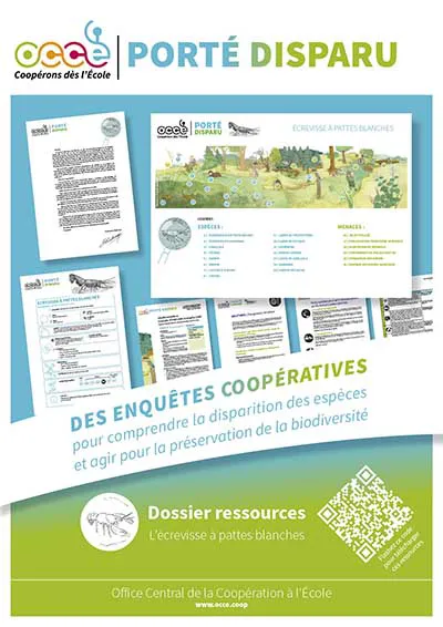 Affiche de présentation du kit pédagogique ‘Porté disparu’ édité par l’OCCE. Elle met en avant une enquête coopérative sur l’écrevisse à pattes blanches, visant à comprendre la disparition d’espèces et agir pour la biodiversité. On y voit des extraits de fiches, un QR code vers les ressources, et le slogan : ‘Des enquêtes coopératives pour comprendre la disparition des espèces et agir pour la préservation de la biodiversité’.
