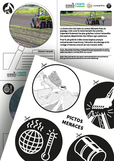 Extraits du dossier ‘Porté Disparu – Pie-grièche à tête rousse’ montrant une fiche sur la destruction des haies et ses conséquences pour l’espèce. Une planche de pictogrammes en noir et blanc représente diverses menaces : réchauffement climatique, machines agricoles, pollution, fragmentation des milieux.