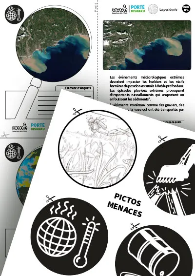 Extrait des supports pédagogiques du kit ‘Posidonie’. L’image montre des fiches illustrées sur les impacts environnementaux visibles depuis l’espace, ainsi qu’une planche de pictogrammes en noir et blanc représentant des menaces comme le réchauffement climatique, les pollutions, ou les engins agricoles.