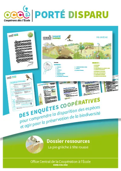 Affiche du kit pédagogique ‘Porté Disparu – Pie-grièche à tête rousse’ édité par l’OCCE. Elle présente une enquête coopérative sur cette espèce menacée, avec un aperçu des fiches élèves et enseignants, les menaces étudiées et un visuel de paysage bocager.